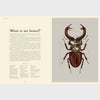 Insectarium | Welcome to the Museum